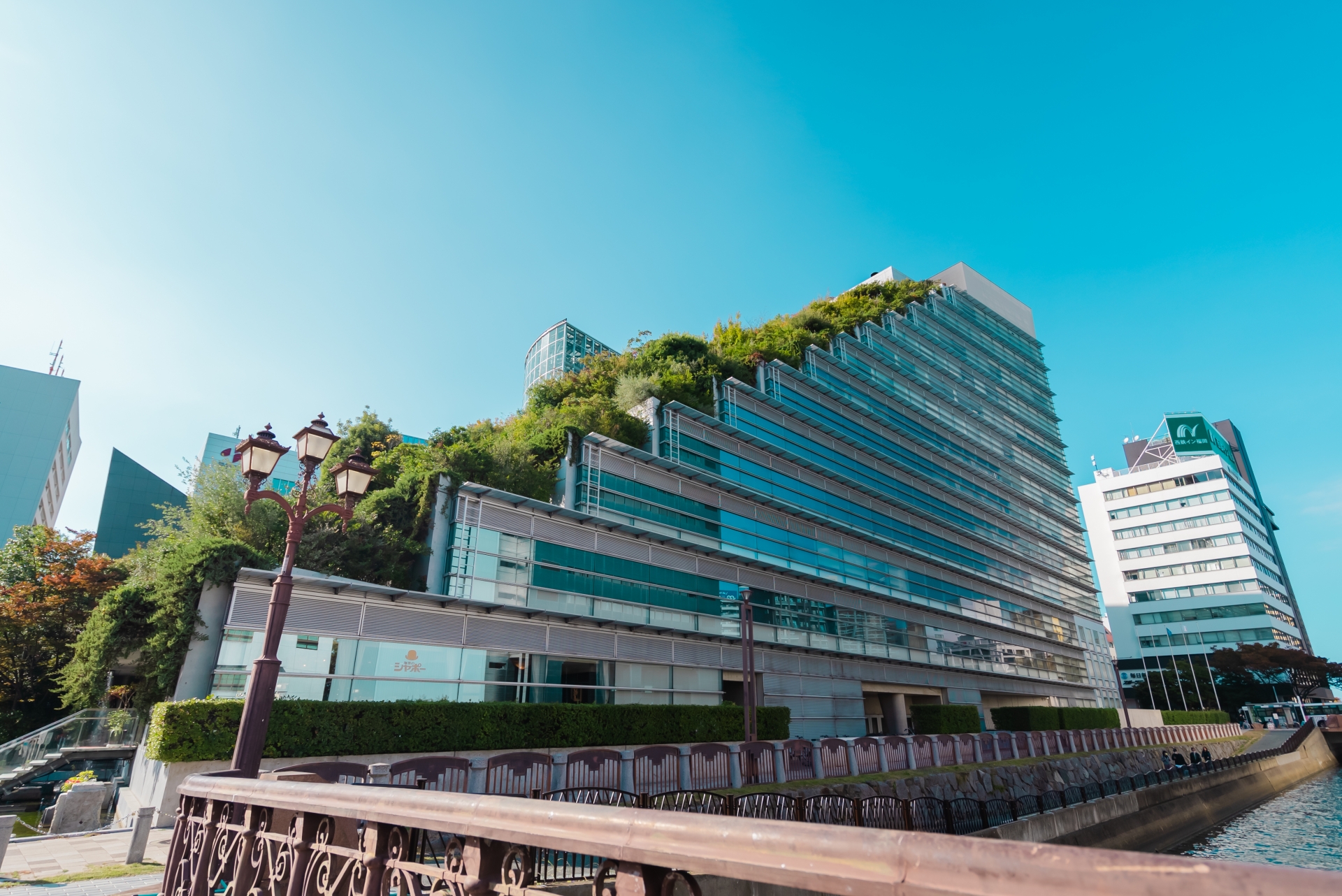 福岡教室・出張稽古のイメージ